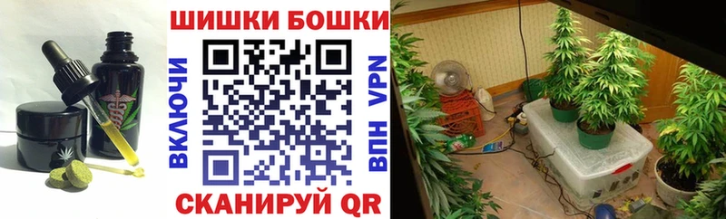 ОМГ ОМГ зеркало  Грайворон  Cannafood марихуана 