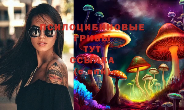 jwh Алзамай